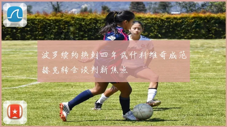 波罗续约热刺四年武什科维奇成范赫克转会谈判新焦点