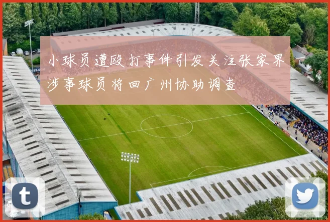 小球员遭殴打事件引发关注张家界涉事球员将回广州协助调查